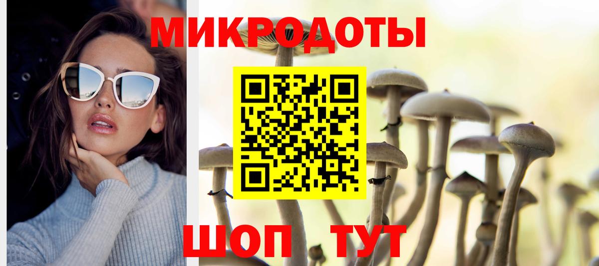 Псилоцибиновые грибы GOLDEN TEACHER Донской